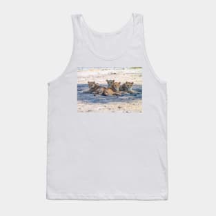 Four Lionesses Shading Themselves Tank Top